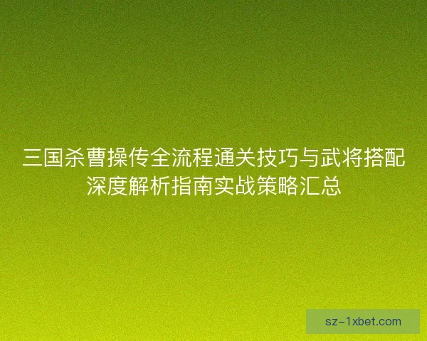 三国杀曹操传全流程通关技巧与武将搭配深度解析指南实战策略汇总