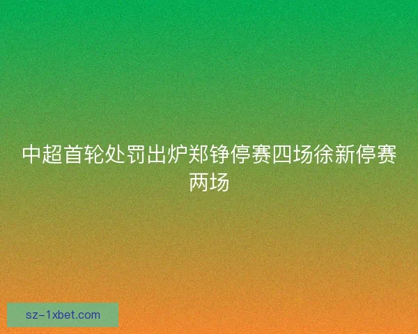 中超首轮处罚出炉郑铮停赛四场徐新停赛两场