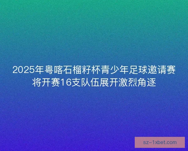 2025年粤喀石榴籽杯青少年足球邀请赛将开赛16支队伍展开激烈角逐